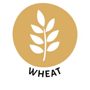 wheat icon